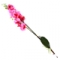 Орхидея с корнем "Розовая" 91см